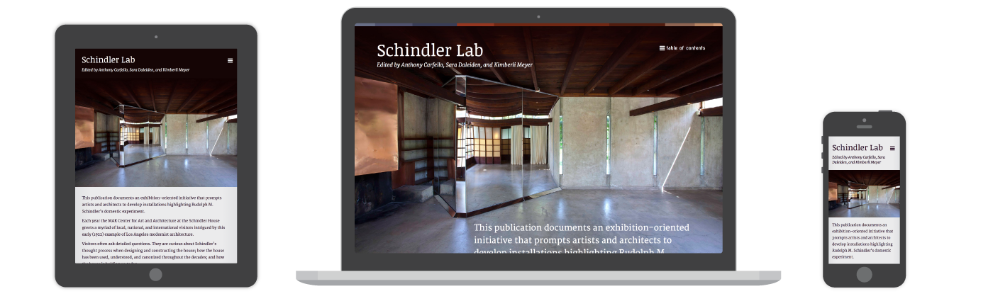 Schindler Lab Online Publication